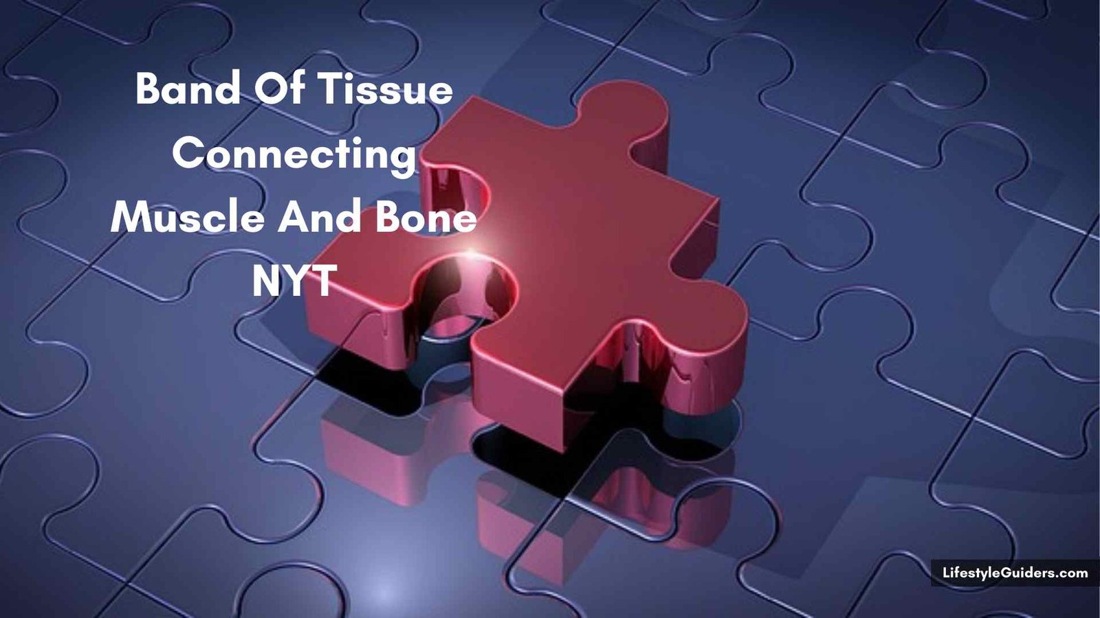 Band Of Tissue Connecting Muscle And Bone NYT