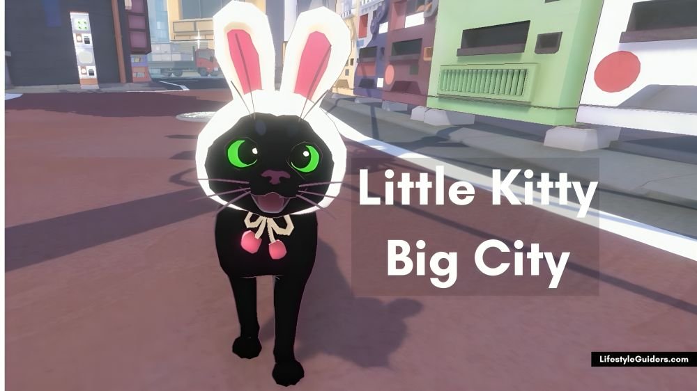 Little Kitty Big City